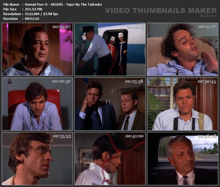 Hawaii Five-O - S01E05 - Tiger By The Tail.mkv