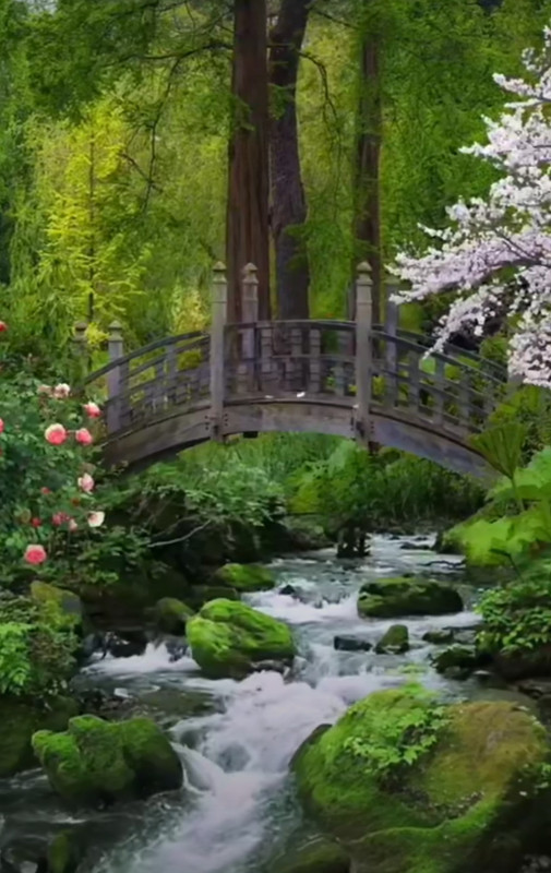 Screenshot_20240324_214302_Pinterest