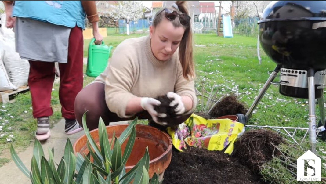 Screenshot 20260416 084510 You Tube