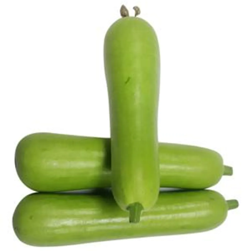 Bottle Gourd - Kaddu - Louki