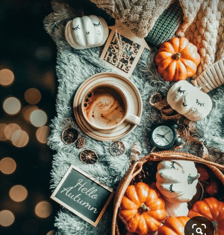 Screenshot_20230905_020201_Pinterest