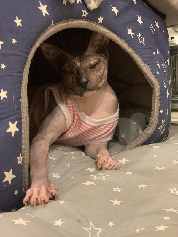 IMG-62e7e068ed4d35648dbcff0664067a04-V