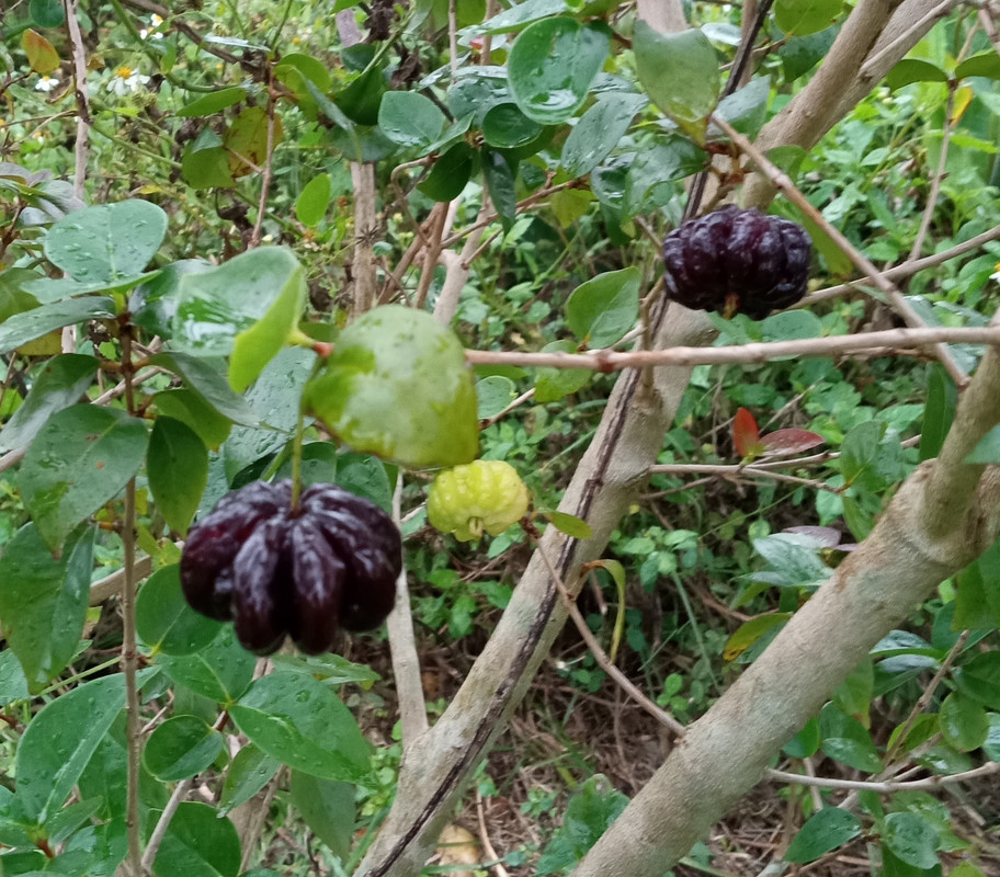 IMG_20221220_130926256~2