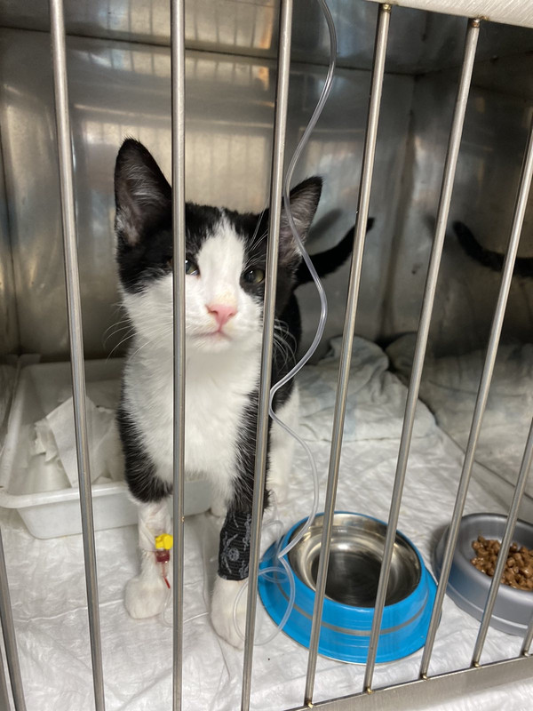 47717E21-428A-41F3-AA5F-924DB0940C7E