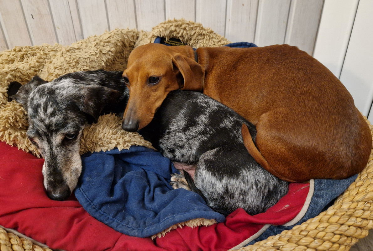 [Image: 20221208-184335.jpg]