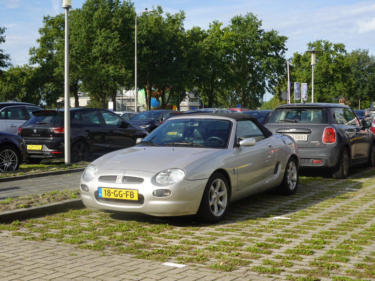 DSC00752.jpg