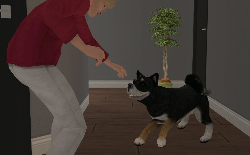 Sims2-EP9-2021-02-28-21-09-04-31