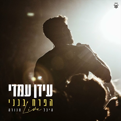 תמונה