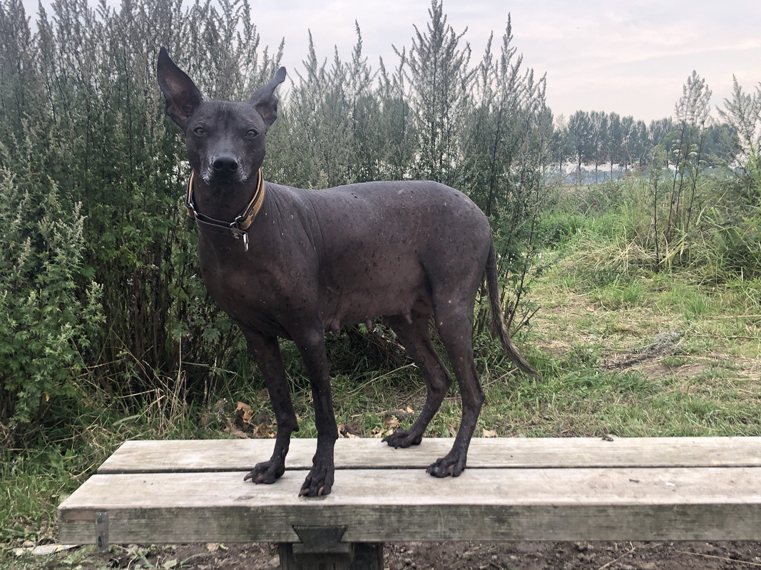 72C16A54-DC3C-432B-8BC1-E7230FD7A5CE