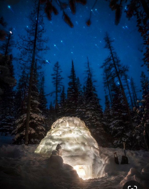 Screenshot_20231213_231036_Pinterest