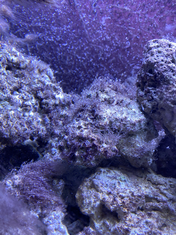 87EDC198-24AF-45A2-8135-B0216ACD5DD7