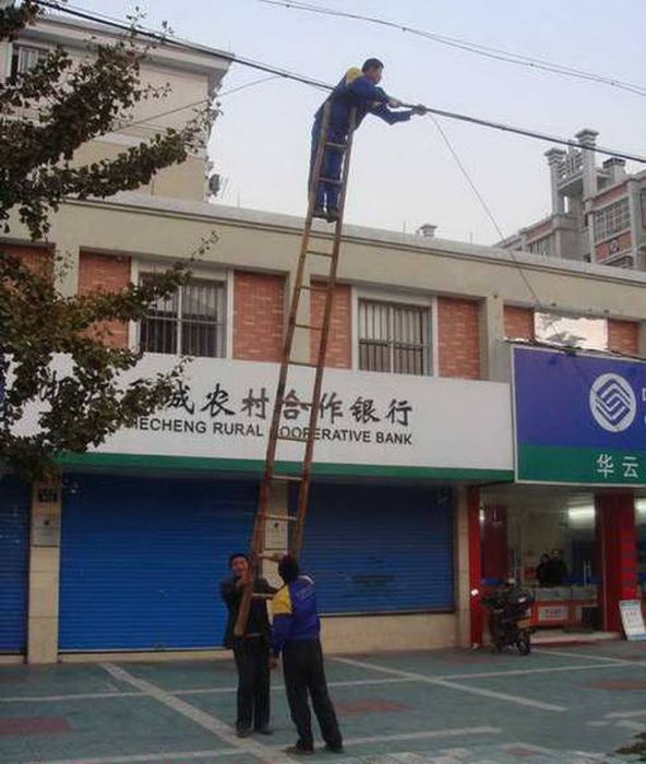 Типичные претенденты на Премию Дарвина