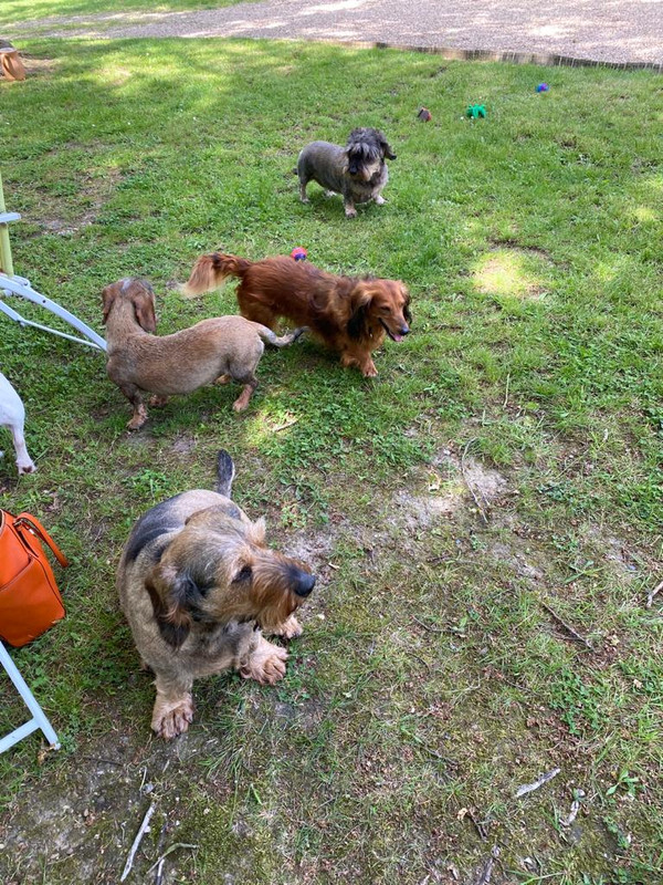 [Image: IMG-20210610-WA0006.jpg]