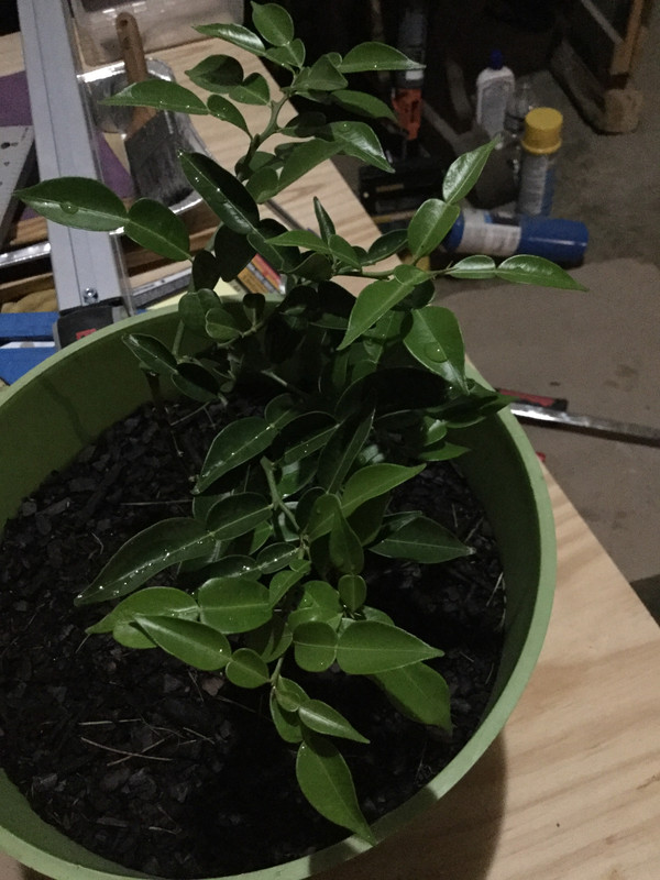 D2BF730E-9178-4E7B-8DBE-E2146825B224