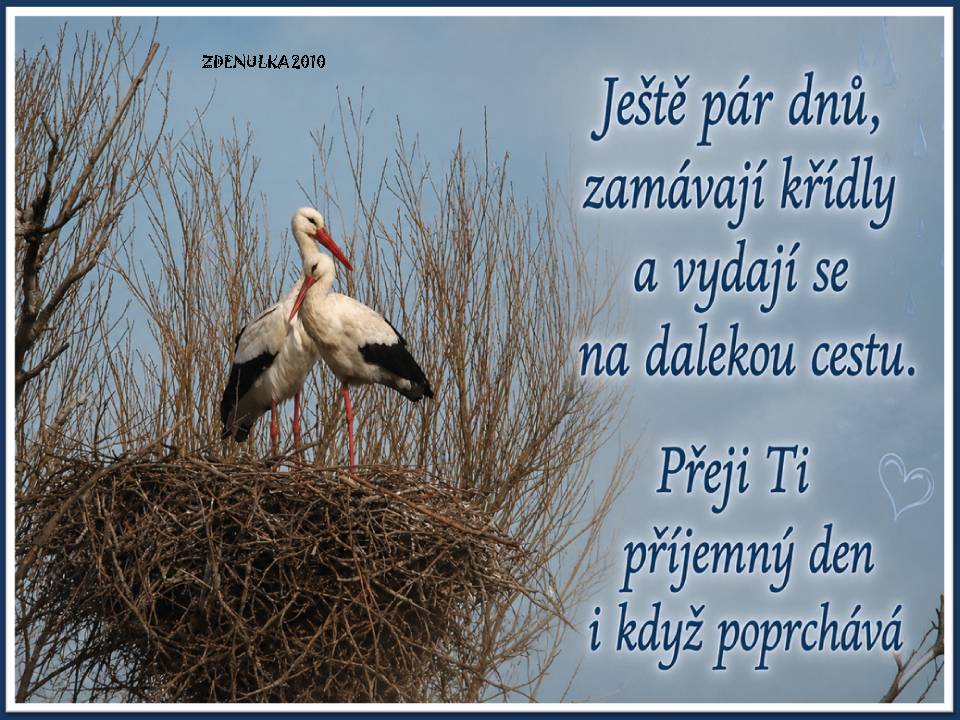 Capi-odletaji