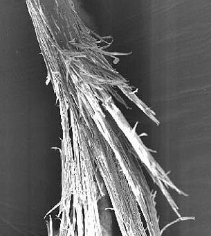 Волос под микроскопом - расхлябанная верёвка