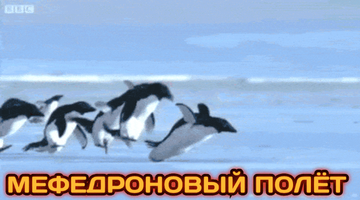 GIF-20250807-231124-428.gif