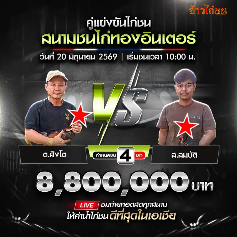 ต.สิงโต พบ ส.สมบัติ โปรแกรมไก่ชน สนามชนไก่ทองอินเตอร์ 20 มิถุนายน
