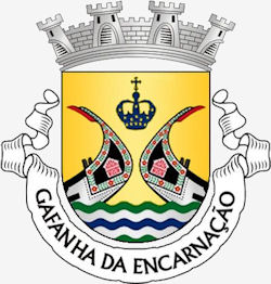 Gafanhaencarnacao