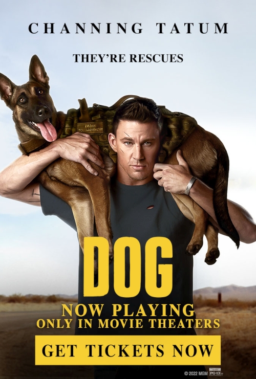 Pies / Dog (2022) MULTi.PL.1080p.BluRay.x264.DTS.DD5.1-K83 / Lektor i Napisy PL