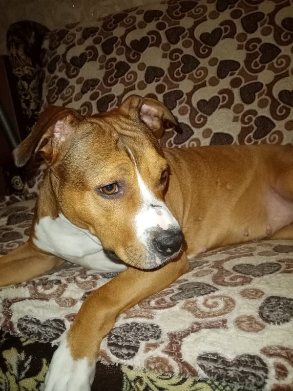 845016E9-4C6F-46E0-97CA-56604C3E7A84