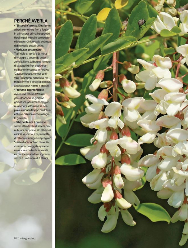 Il Mio Giar Apr-Mag 2022 (1)