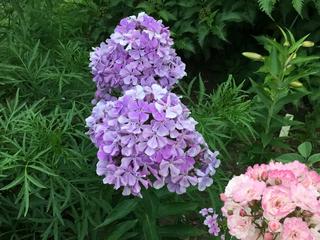 2876FCD5-5C74-4CAF-8E7E-AEB5E8FE5205