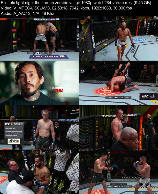ufc-fight-night-the-korean-zombie-vs-ige