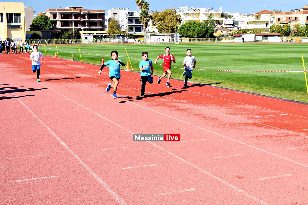 AKRITAS-STIVOSDSC-0334