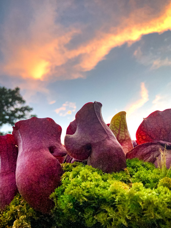 CD1F4AAF-87A3-4057-8B9A-52C257EA12F6