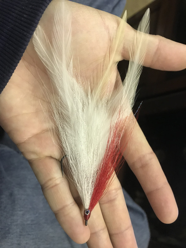 4FF01B43-DFD6-4CF4-B92D-7031823A58F4