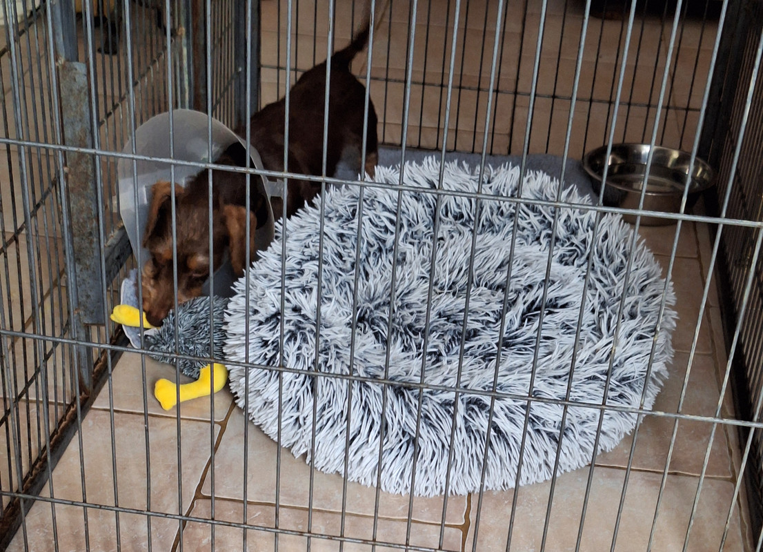 [Image: 20240712-133238.jpg]