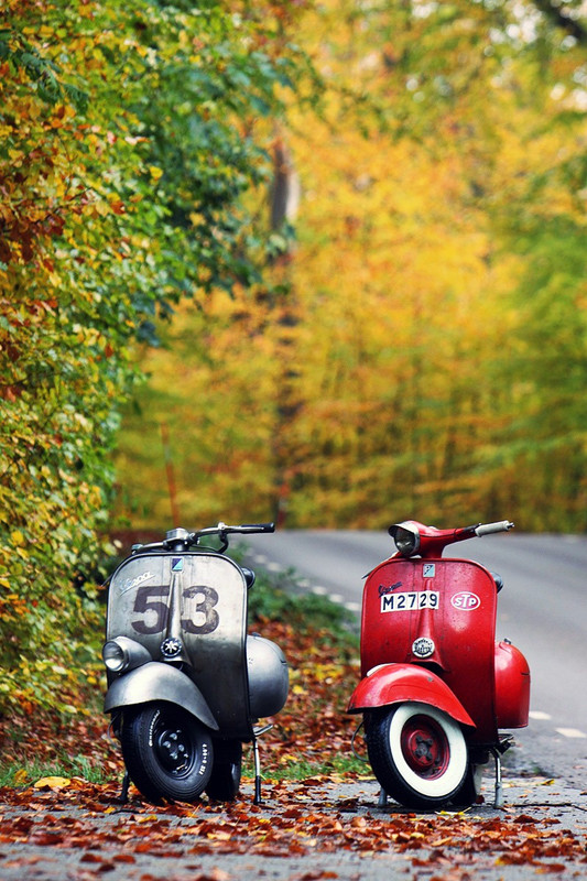 External inline image provided by member with no explanatory text