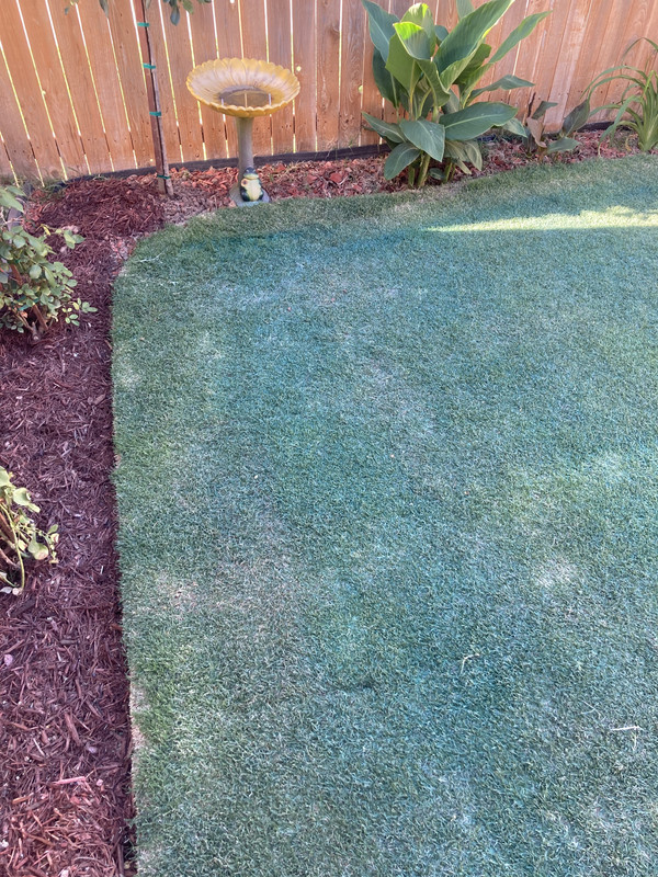 D209AEE5-F304-4257-997E-7663166FA7EB