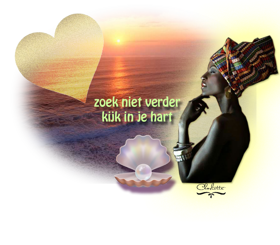 zoek-niet-verder