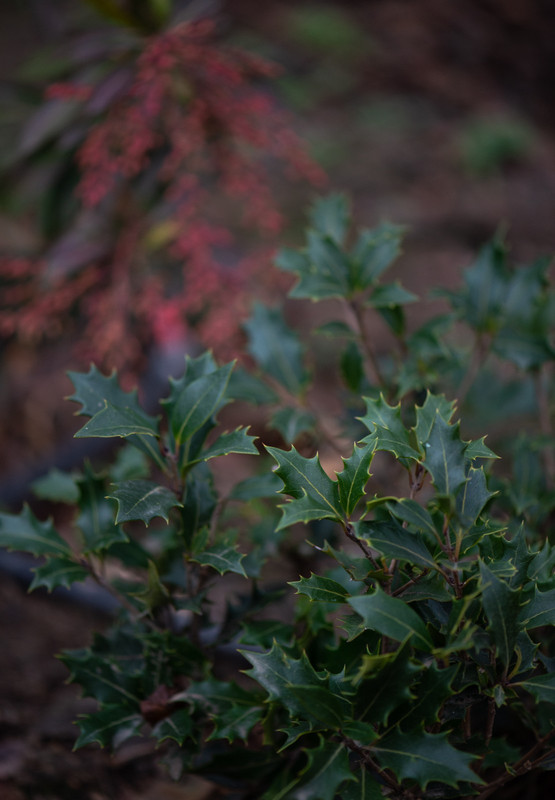 IMG-7895e4f3d6957aea041ce4db3132b630-V