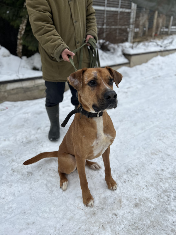 A298E453-D0FC-4CF6-9A2B-992E6B287C88