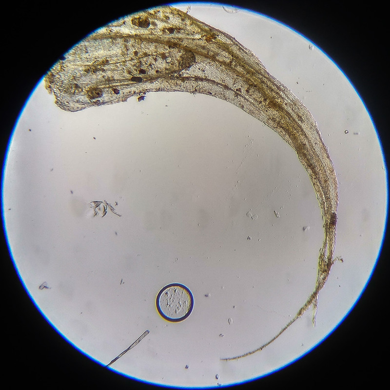 IMG 20250614 122403 HDR