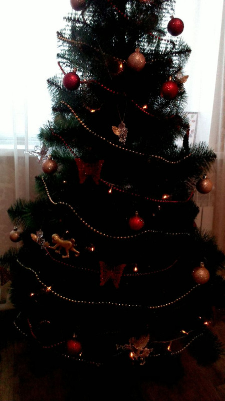 image-0-02-05-688f90957ecfa3d1ff69efb78381cec42a