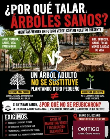 Foto cedida por Contigo Torrejón