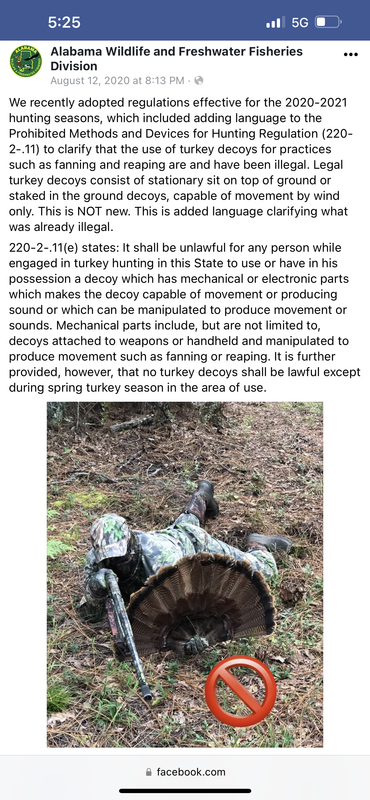 [Linked Image]