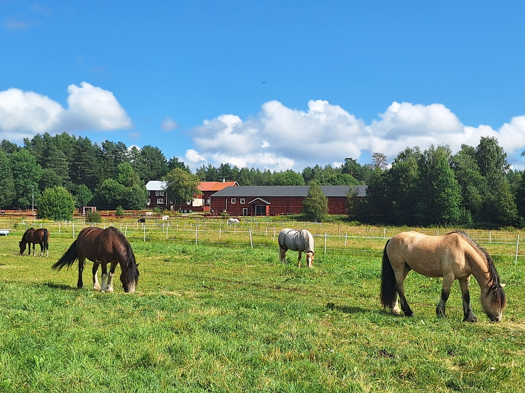 Beskrivande alt-text