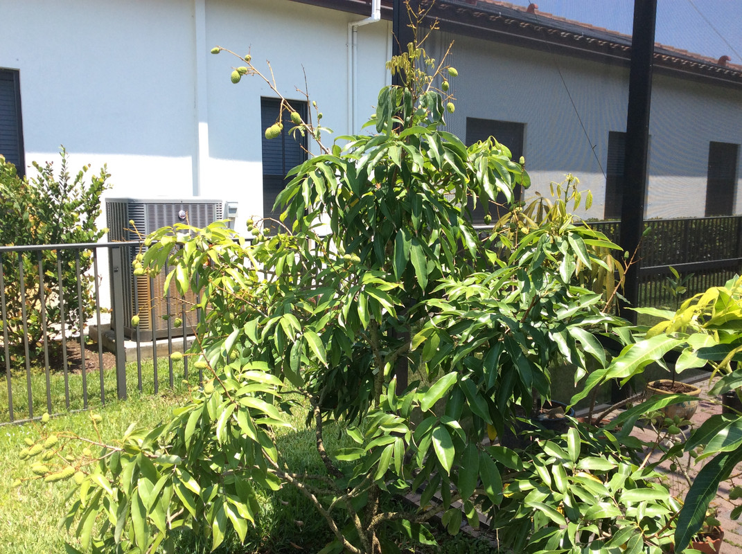 A65712C3-D8BF-42F2-A4E0-97EB3D67173B