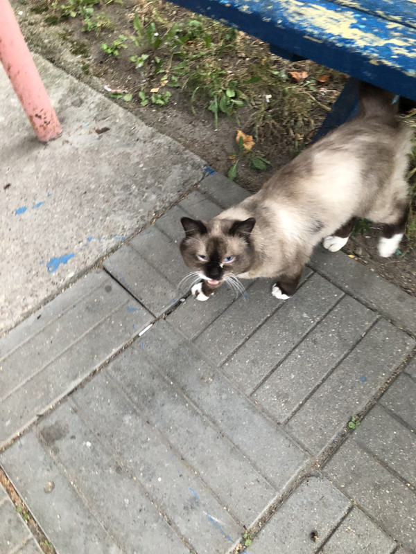 B99E75BC-F5A7-46EA-A9DB-6CC0E7DB9304