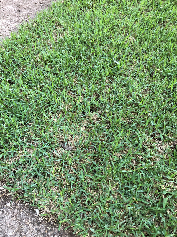 61AFF440-46C9-4FAD-AAA4-F2AF9750773A