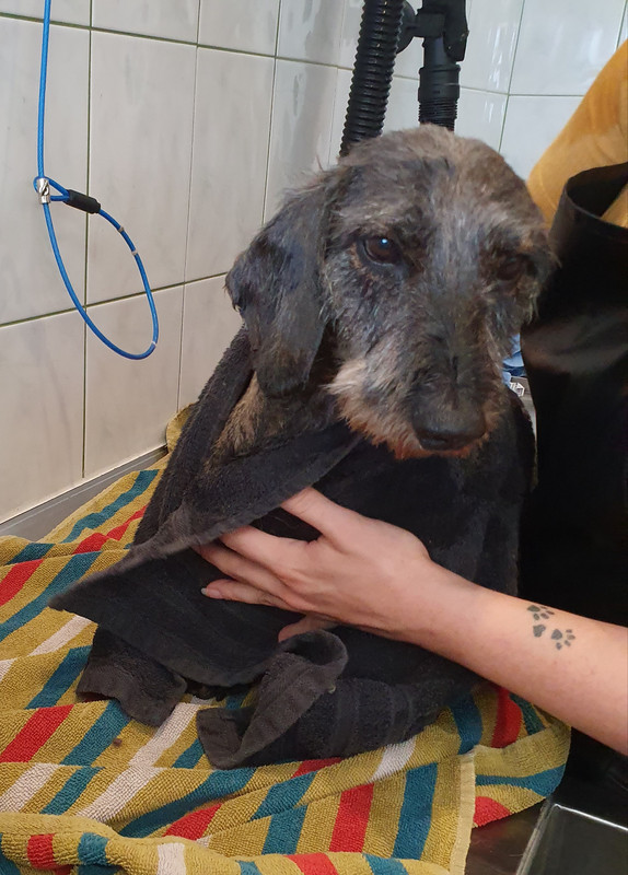 [Image: 20210709-125720.jpg]