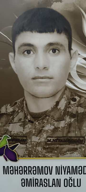 WhatsApp Image 2024-11-16 at 14.04.22 (1)