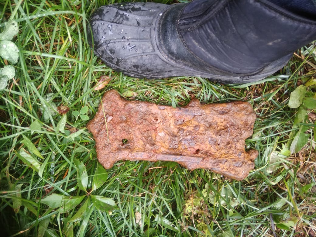 чугуняка из оврага