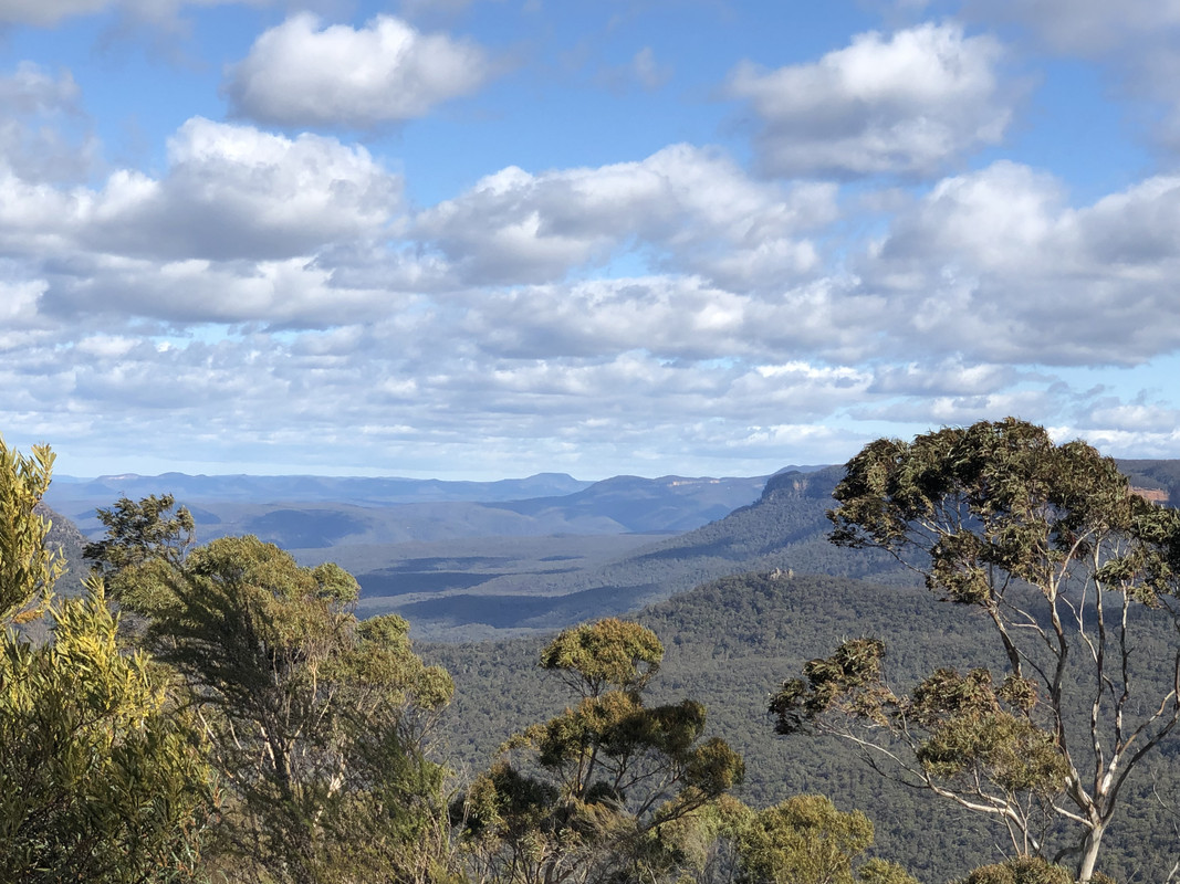 929116-C2-8-C19-4-F92-AA31-4-B160650-FE3