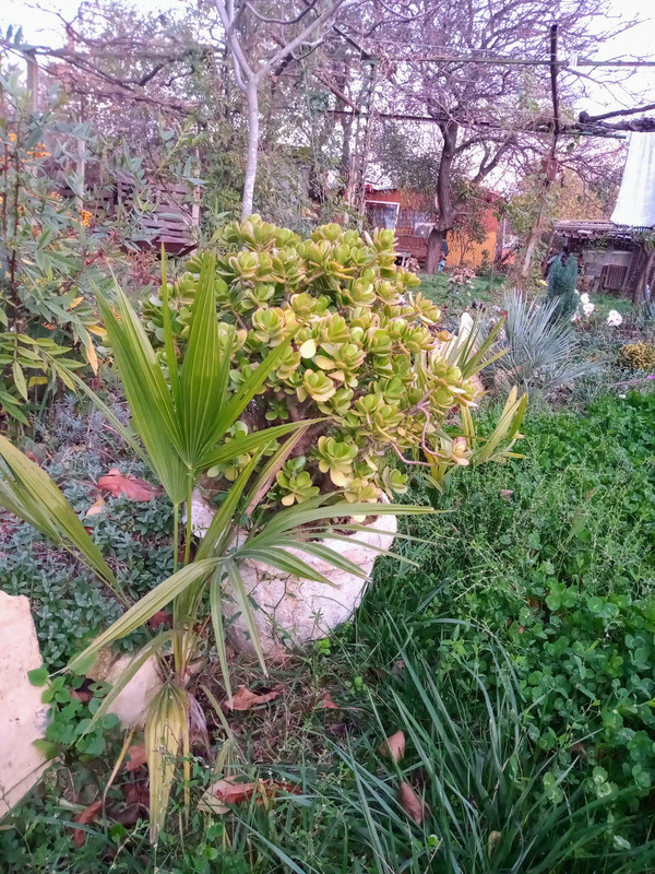 IMG_20211119_164602207~2